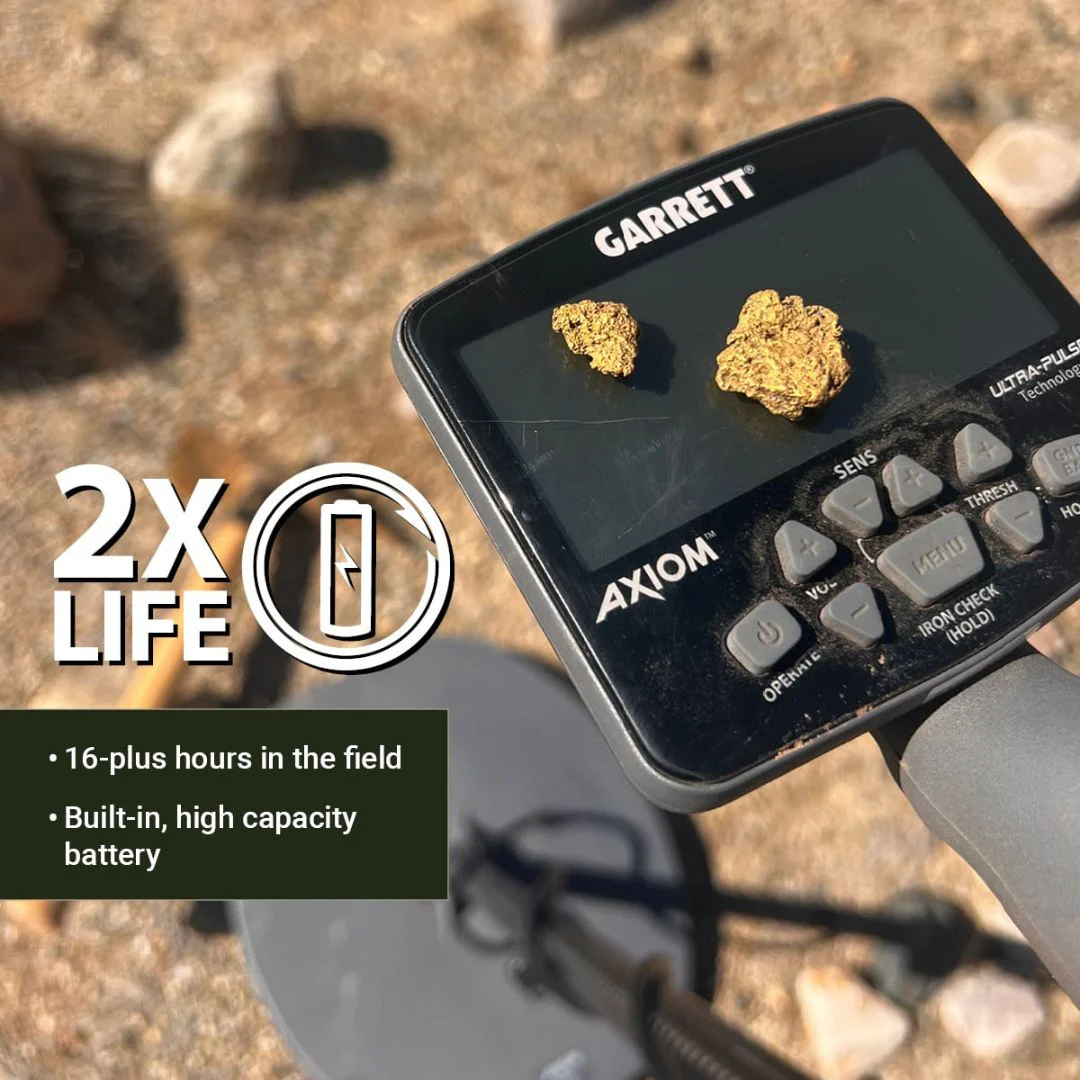 Unearth Your Next Fortune